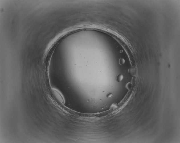 X0000067391502200604031019