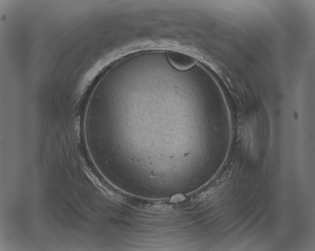 X0000067391503200604031019