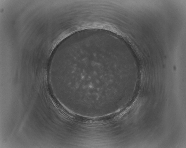 X0000067391505200604031019