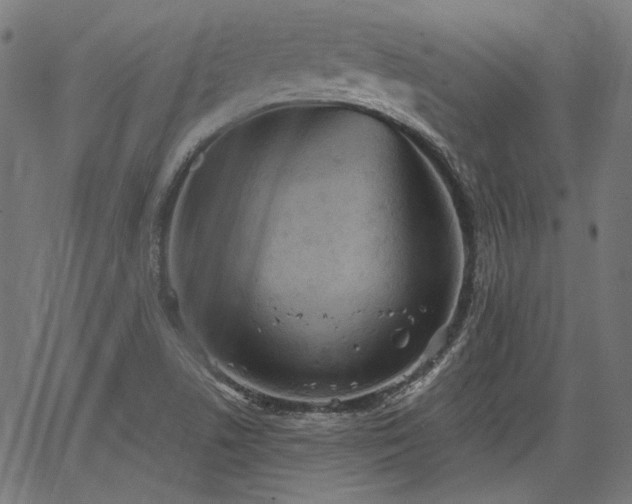 X0000067391506200604031019