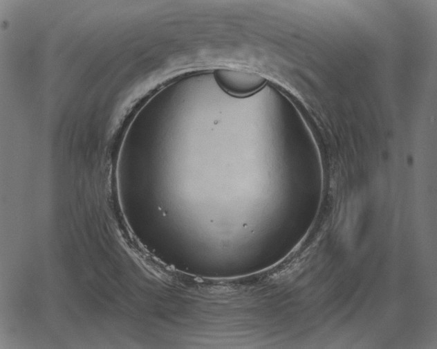 X0000067391507200604031019