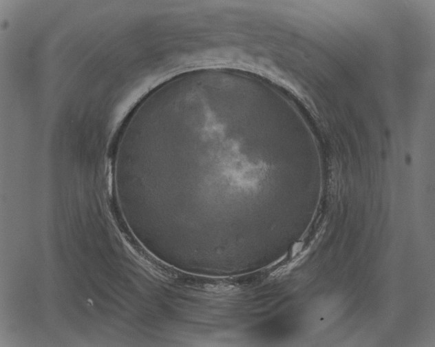 X0000067391509200604031019