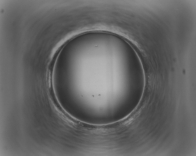 X0000067391510200604031019