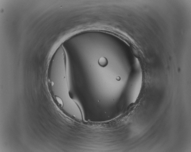 X0000067391512200604031019