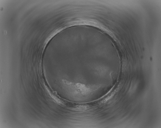 X0000067391513200604031019