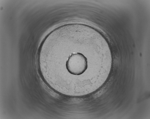 X0000067391514200604031019