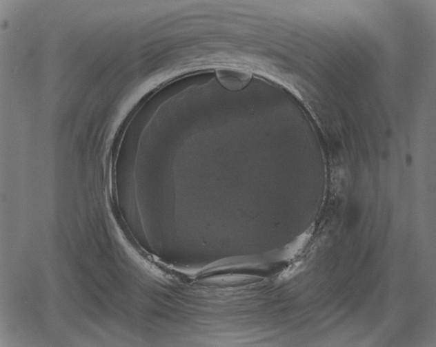 X0000067391515200604031020