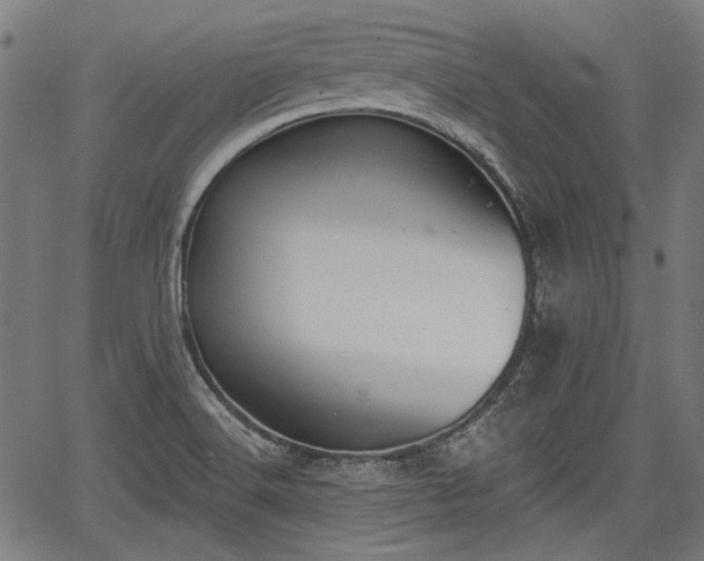 X0000067391516200604031020