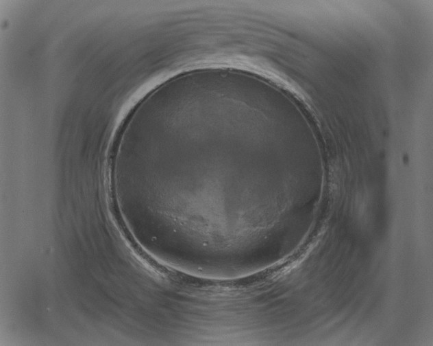 X0000067391517200604031020