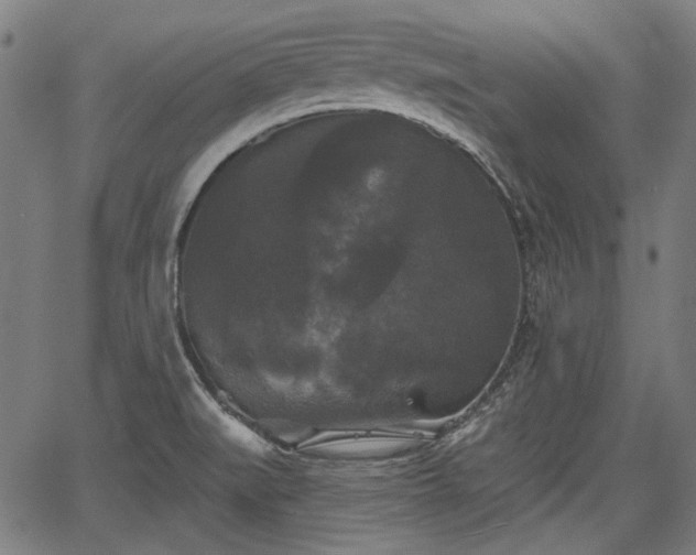 X0000067391519200604031020