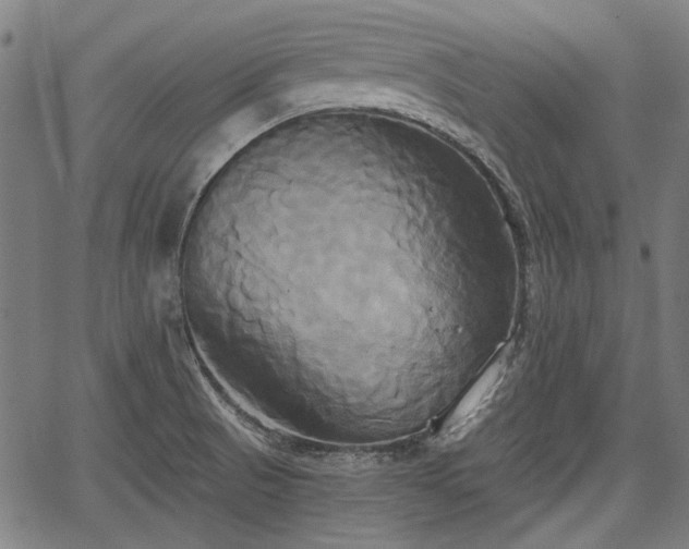 X0000067391521200604031020