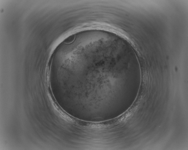 X0000067391522200604031020