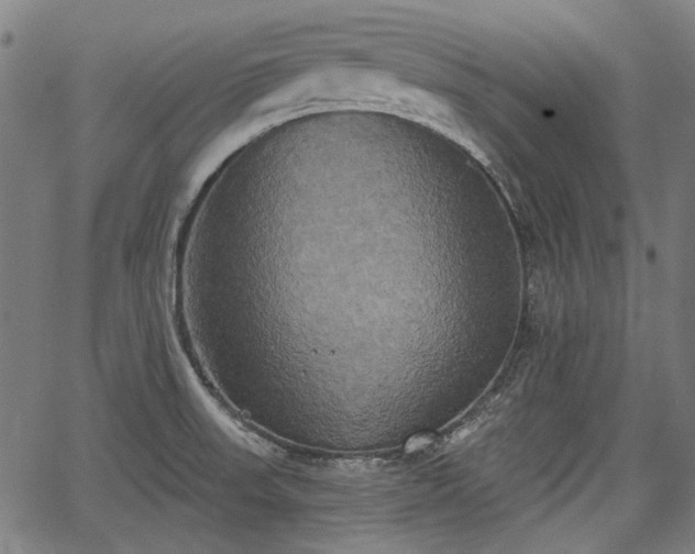 X0000067391523200604031020