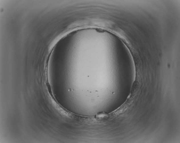 X0000067391524200604031020