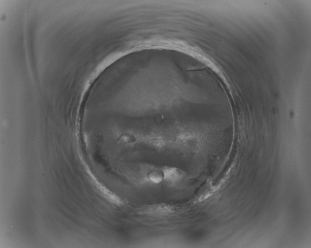 X0000067391525200604031020