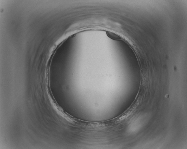 X0000067391526200604031020