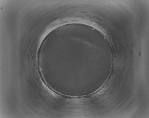 X0000067391527200604031020