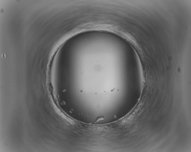 X0000067391528200604031020