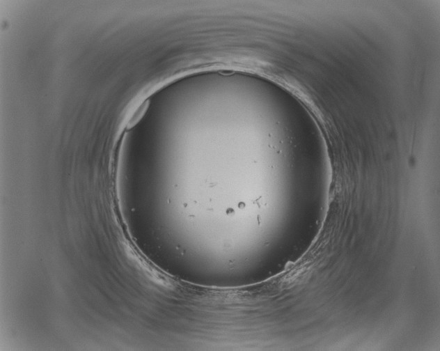 X0000067391532200604031020