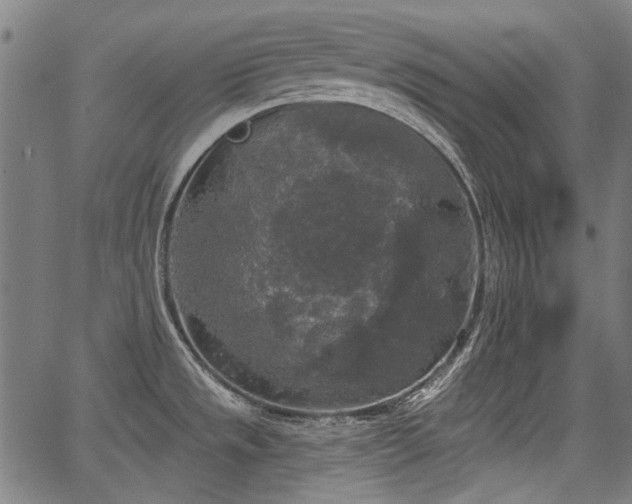 X0000067391533200604031020