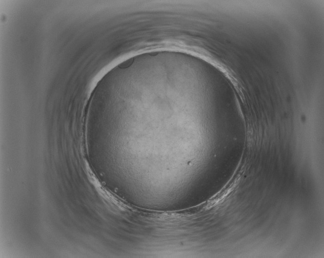 X0000067391534200604031020