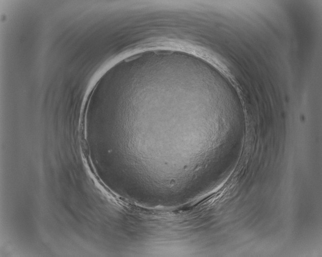 X0000067391536200604031020