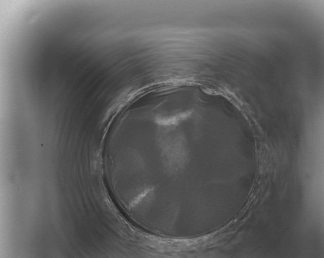 X0000067390002200604071806