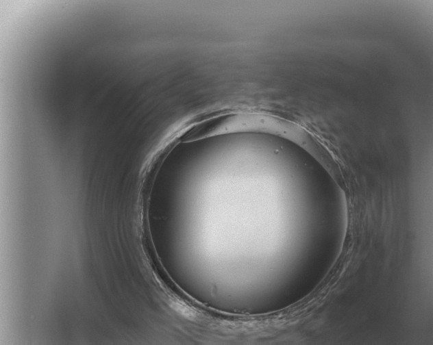 X0000067390005200604071805