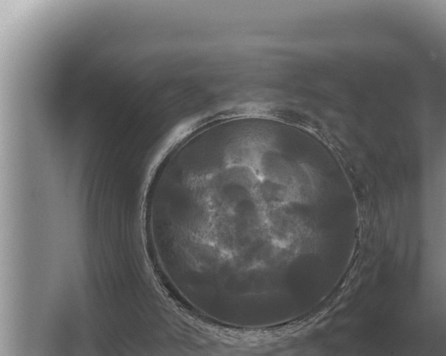 X0000067390006200604071805