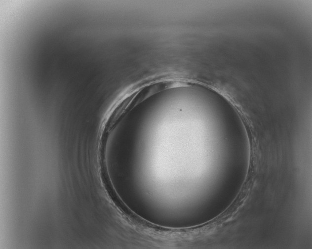 X0000067390007200604071805