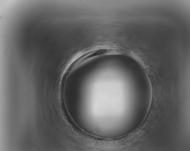 X0000067390008200604071805