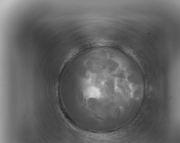 X0000067390010200604071805