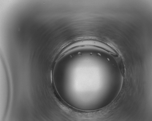 X0000067390013200604071805