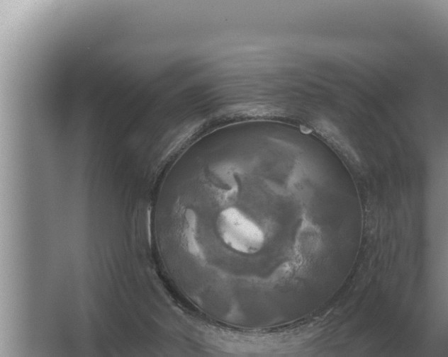 X0000067390014200604071805