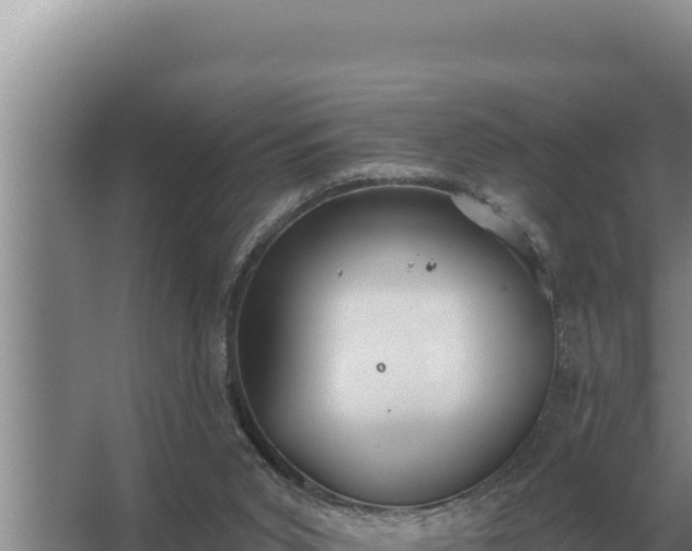 X0000067390015200604071805