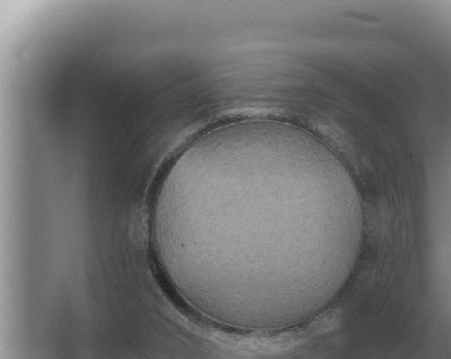 X0000067390016200604071805