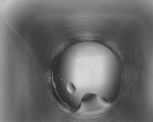 X0000067390017200604071805