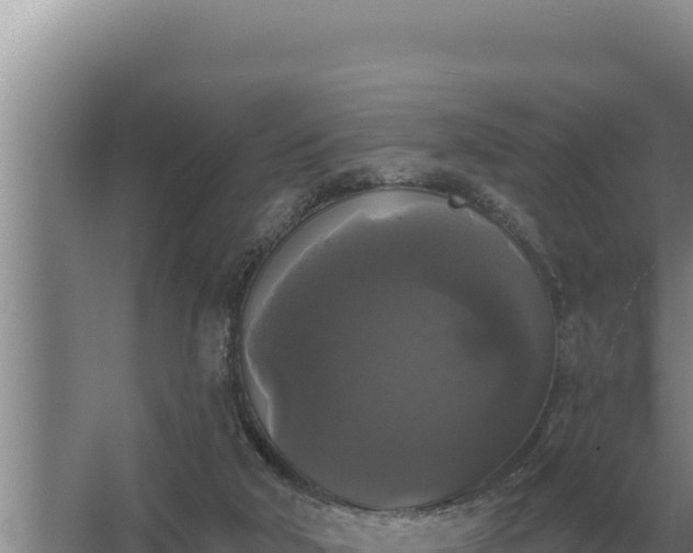 X0000067390018200604071805