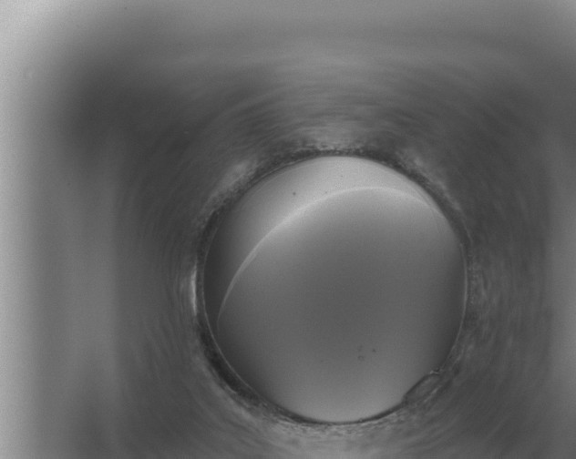 X0000067390019200604071805