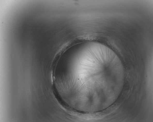 X0000067390020200604071805