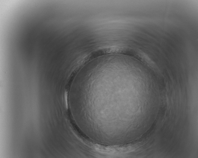 X0000067390022200604071805