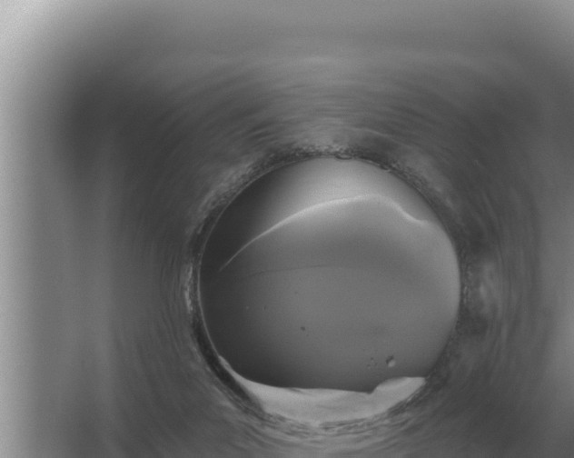 X0000067390023200604071805