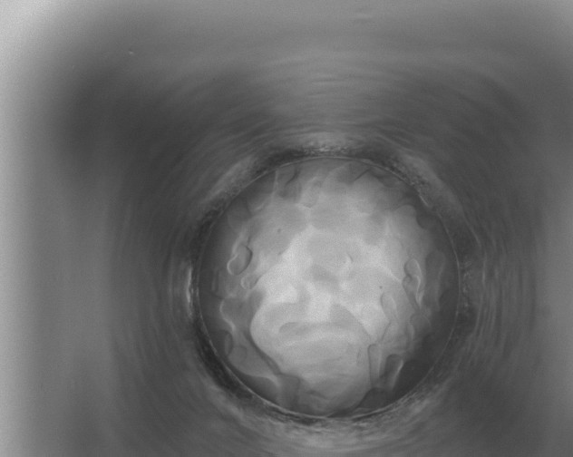 X0000067390024200604071805