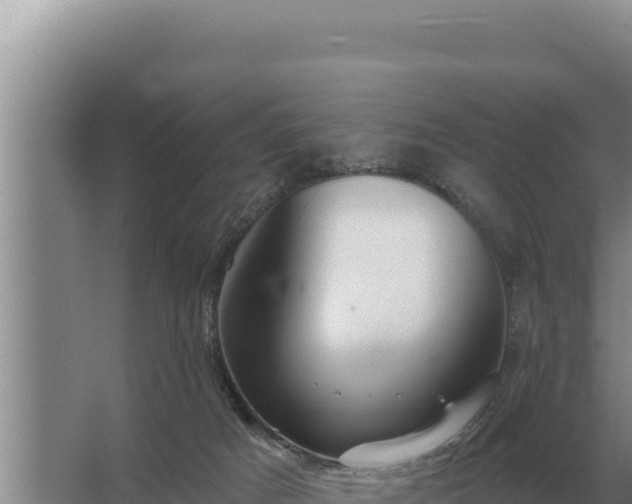 X0000067390025200604071805