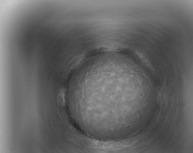 X0000067390026200604071805