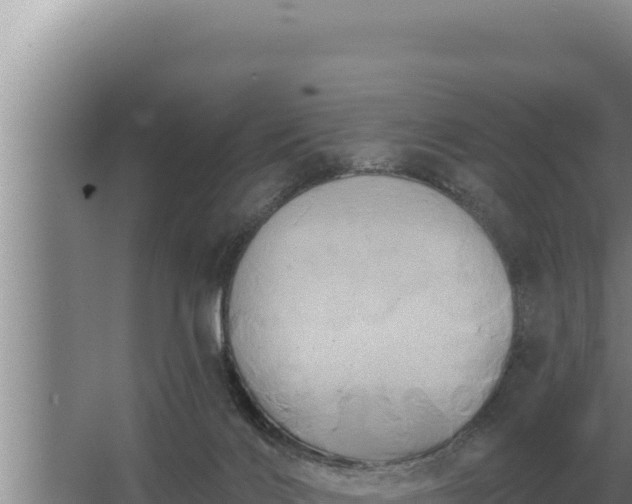 X0000067390028200604071805