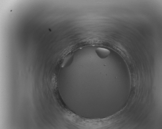 X0000067390029200604071805