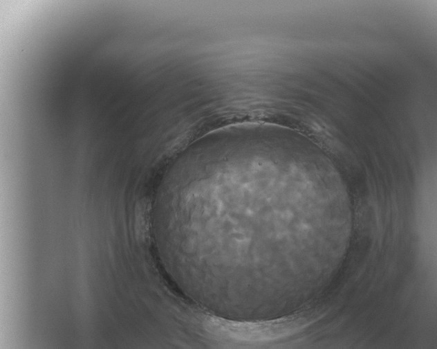 X0000067390030200604071805