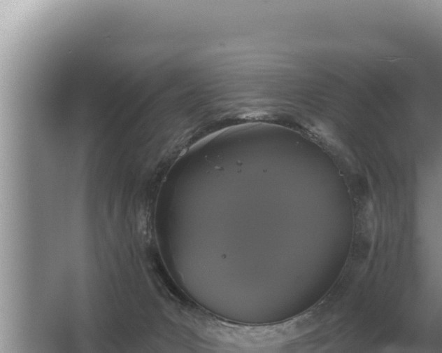 X0000067390031200604071805