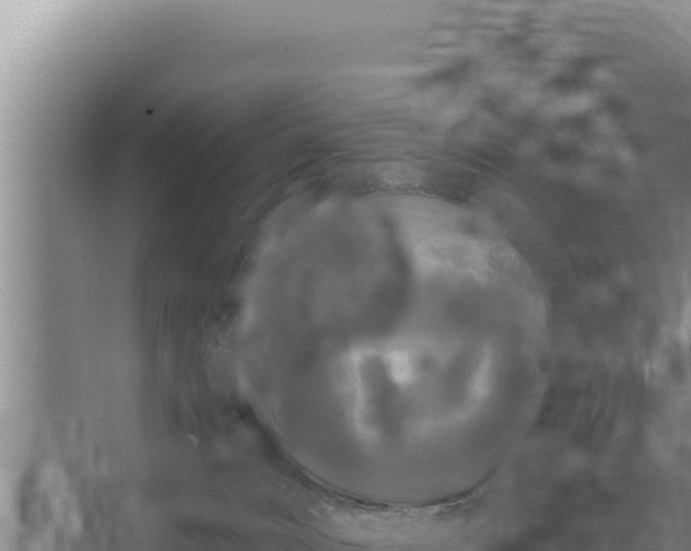 X0000067390032200604071805